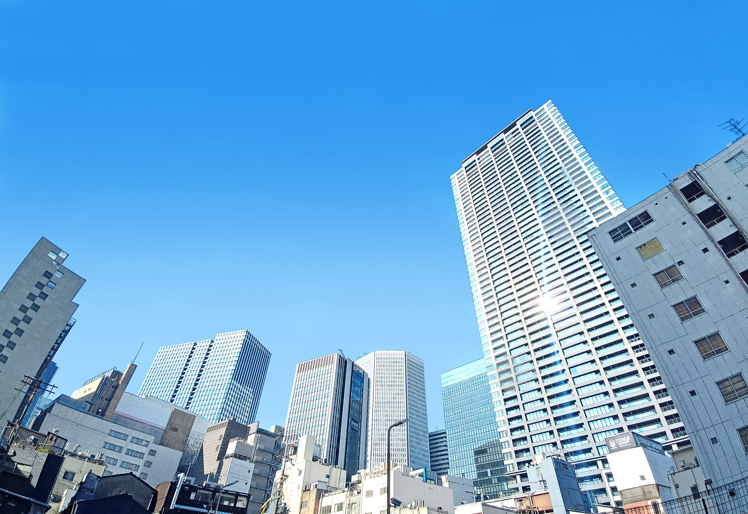 打ち合わせテーブルを囲み、資料を確認する株式会社ダイバーシティの業務風景